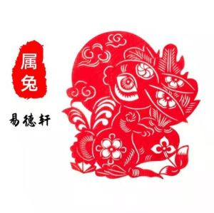 2025年生肖运势：兔龙蛇猪大翻身，事业生活双丰收