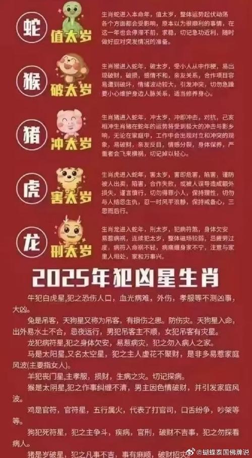 2025年生肖运势大爆发：牛龙羊兔把握机遇年