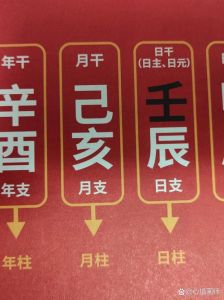 八字预测学：揭秘命运奥秘，断命口诀指引人生