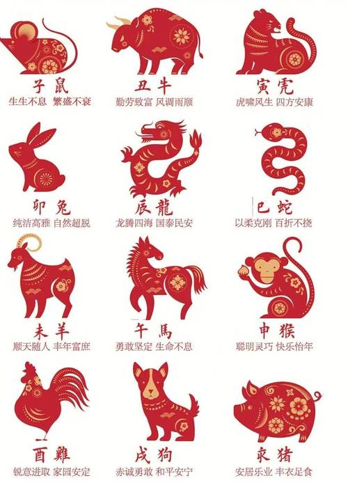 十二生肖奥秘：运势婚姻与命运之谜