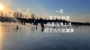 2023年挑战与成长：风雨后的彩虹之旅