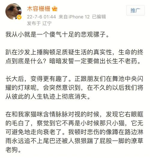 白羊岁末：纯粹英雄主义与生活哲学启示