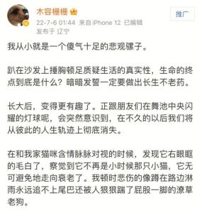 白羊岁末：纯粹英雄主义与生活哲学启示