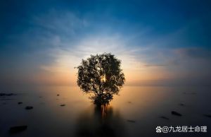 揭秘运气不佳：调整心态，开启转运之路！