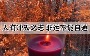 提升运气，改变命运：揭秘逆境转机之道