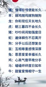 冬至生肖运势揭秘：羊鸡猪运势转折点