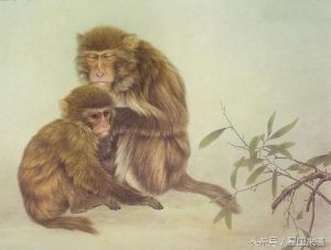 冬至生肖运势：兔鸡猴大爆发，转运良机降临！