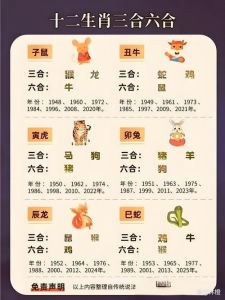 2025年2月生肖运势详解：惊喜与挑战并存！