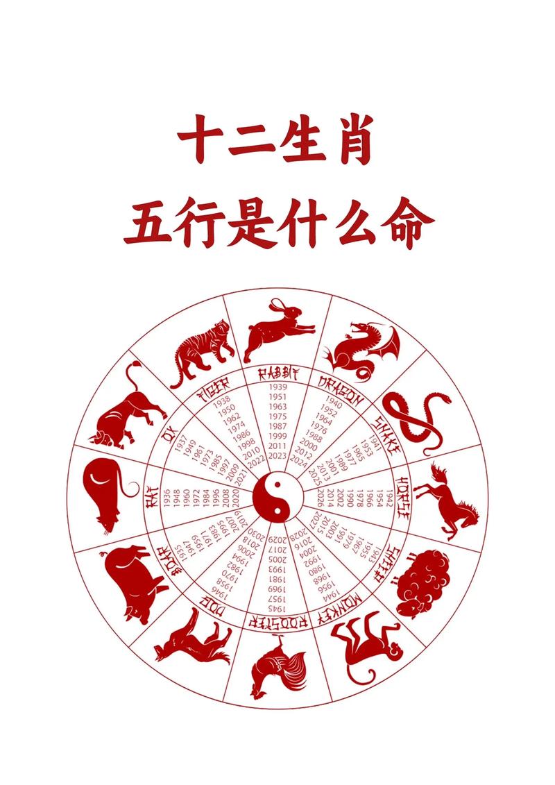 生肖运势大揭秘：十二生肖运势详解！