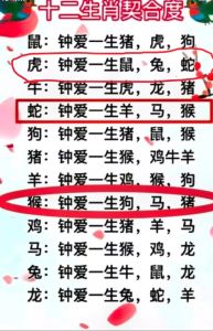 2025生肖盛宴：鼠龙马猴财运事业双丰收