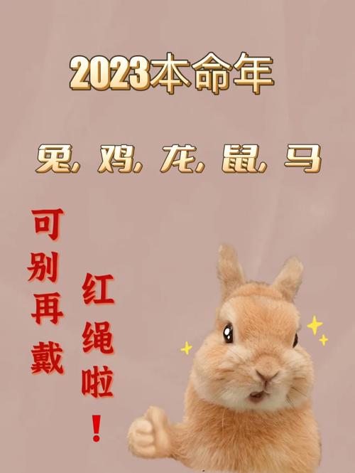 晚年越吃香生肖揭秘：兔蛇羊猴鸡的魅力人生