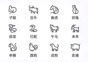 2025：生肖星座丰收年，运势大解析！