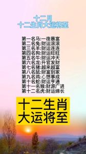 生肖牛龙狗：三生肖男士的爱情故事，岁月醇香