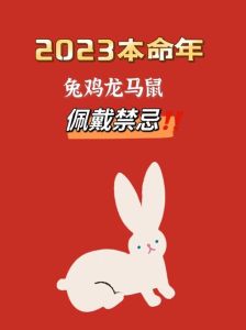 2025年生肖运势：鼠龙马猪大丰收，幸福生活启航！