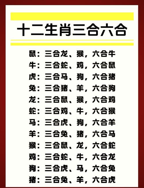明年财运高峰生肖揭秘：性格与财富的奥秘