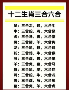 明年财运高峰生肖揭秘：性格与财富的奥秘