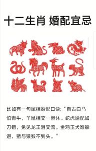 生肖牛羊鸡运势揭秘：幸运物助力，自律自信赢未来