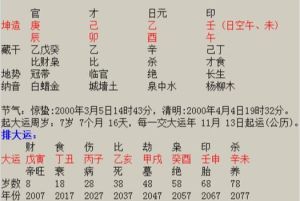 姻缘之谜：天注定还是后天造？星座配对娱乐解密