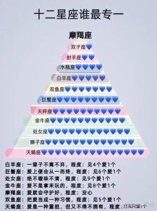 今日塔罗运势：12星座转折点与挑战指南
