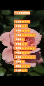12月星座运势揭秘：白羊金牛双丰收，双子狮子职场爱情双赢！