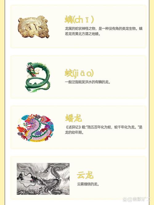 生肖运势揭秘：虎龙猴好运物，谦逊自信赢未来