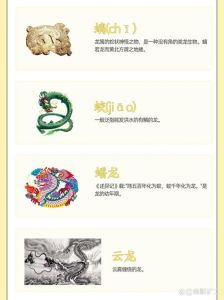 生肖运势揭秘：虎龙猴好运物，谦逊自信赢未来