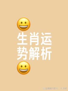 2024冬至生肖运势揭秘：谁好运谁谨慎？