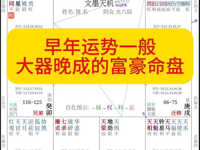 2025紫微斗数运势揭秘：揭秘财官姻缘健康法则