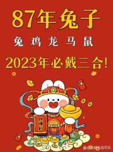 2025年生肖桃花盛宴：鼠龙马兔迎甜蜜爱情时刻