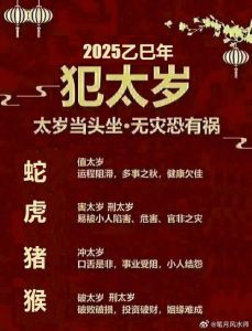 2025运势高峰：鼠龙猴水瓶，事业财富双丰收指南