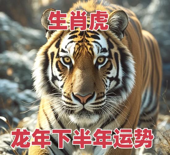 生肖虎羊猴本月运势飙升，好运物吉星照耀指南