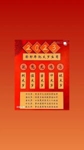 2024年生肖运势：鼠兔龙鸡大旺，桃花机遇双丰收