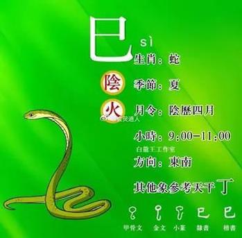2025年生肖运势：机遇满满，梦想成真！