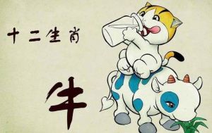 2025运势高峰：鼠牛龙蛇四大生肖迎辉煌，寻找你的幸运密码！