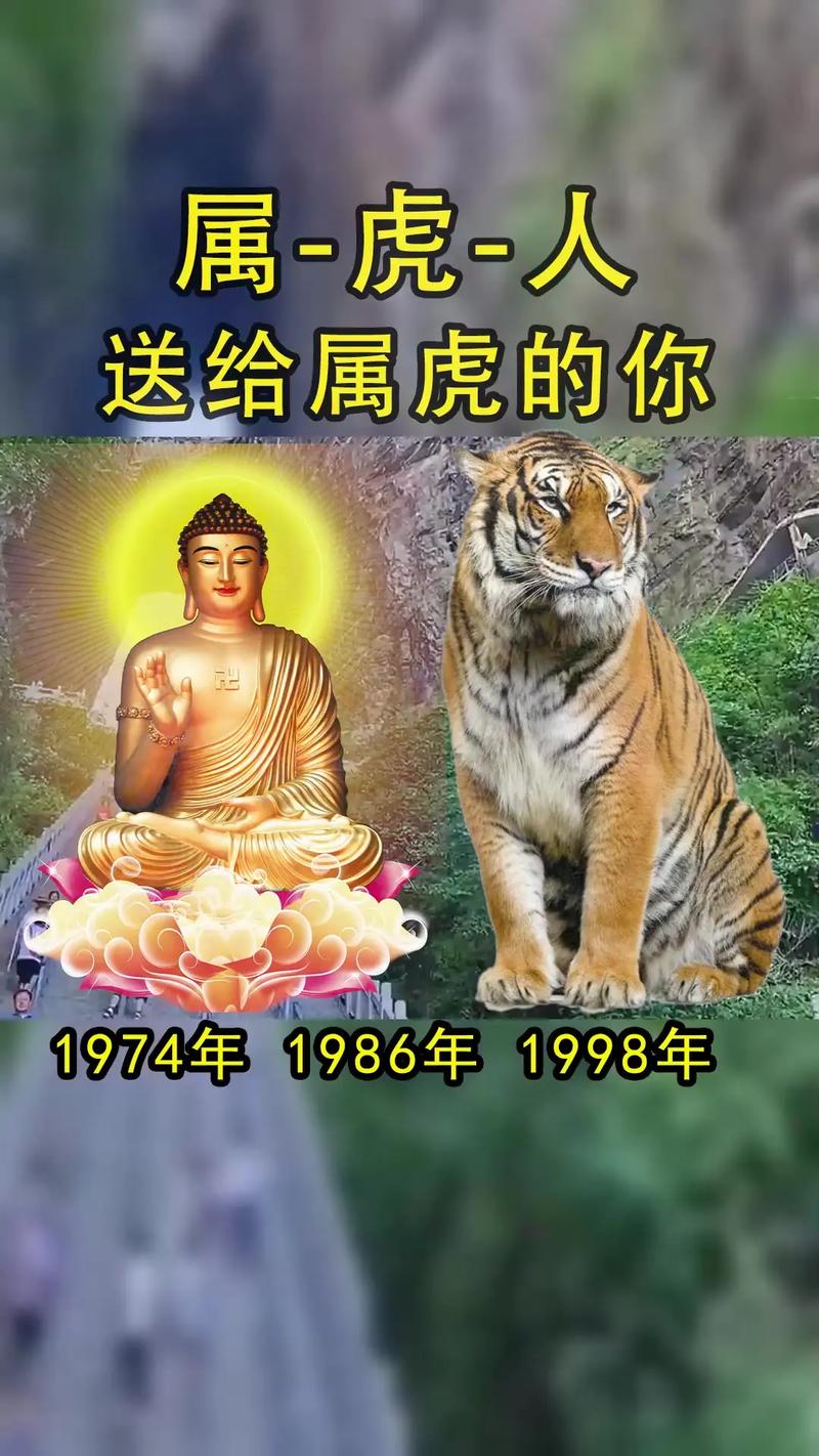 12月24日生肖好运来袭：虎年运势大爆发！