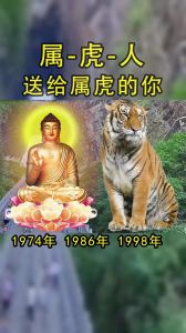 12月24日生肖好运来袭：虎年运势大爆发！