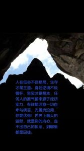逆境重生：如何走出人生低谷迎接辉煌