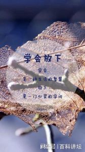 低谷转机征兆：自信觉醒，逆境逆袭之道
