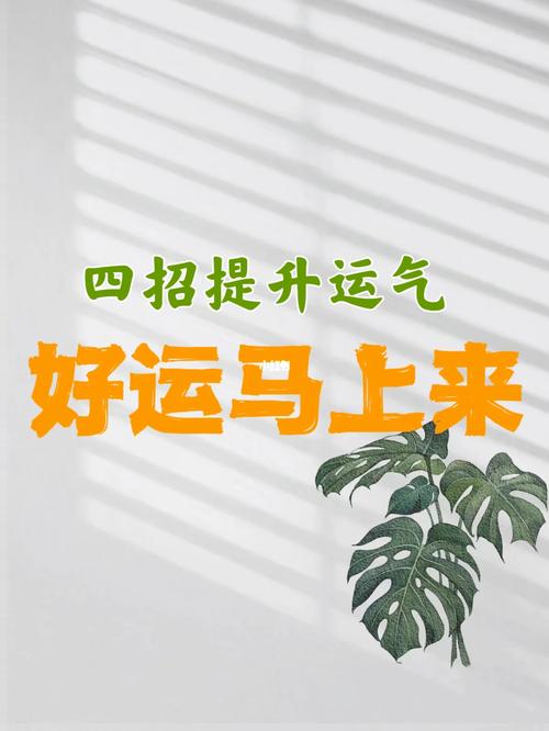 掌握命运秘籍：实用方法助你改运迎好运