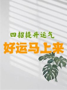 掌握命运秘籍：实用方法助你改运迎好运