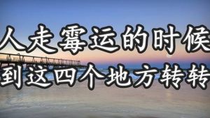 逆境心态调整：破解困境，拥抱精彩人生