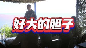 揭秘胆子大说话技巧：如何自信社交赢好感