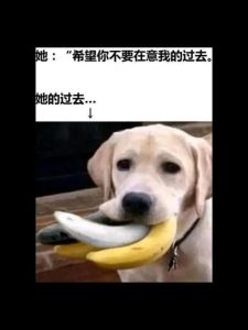 爱情试炼：告别过去，成长与沟通的艺术