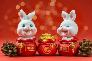 2025年生肖运势：鼠虎猪龙飞跃年，把握机遇迎成功