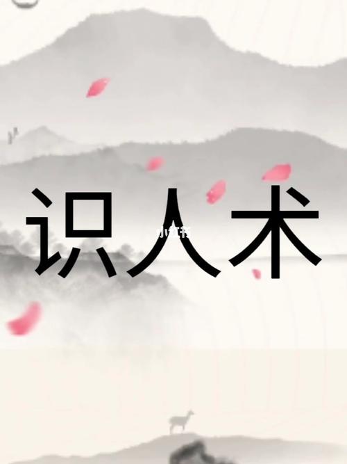 鞋履映人生：揭秘鞋子的性格密码与生活哲学
