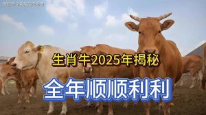 2025生肖运势：鼠牛虎兔喜气临门，财富爱情双丰收！
