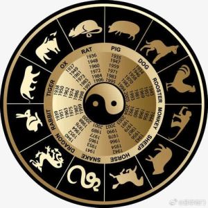 2025年生肖星座运势揭秘：鼠龙狮天蝎职场前景展望