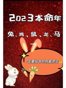2025年生肖鼠龙兔及天秤运势大爆发：事业爱情双丰收！