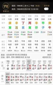 2025年运势：鼠龙狗双鱼桃花事业双丰收
