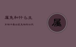 2025爱情运势：鼠兔鸡天蝎亮点，幸福时光即将来临